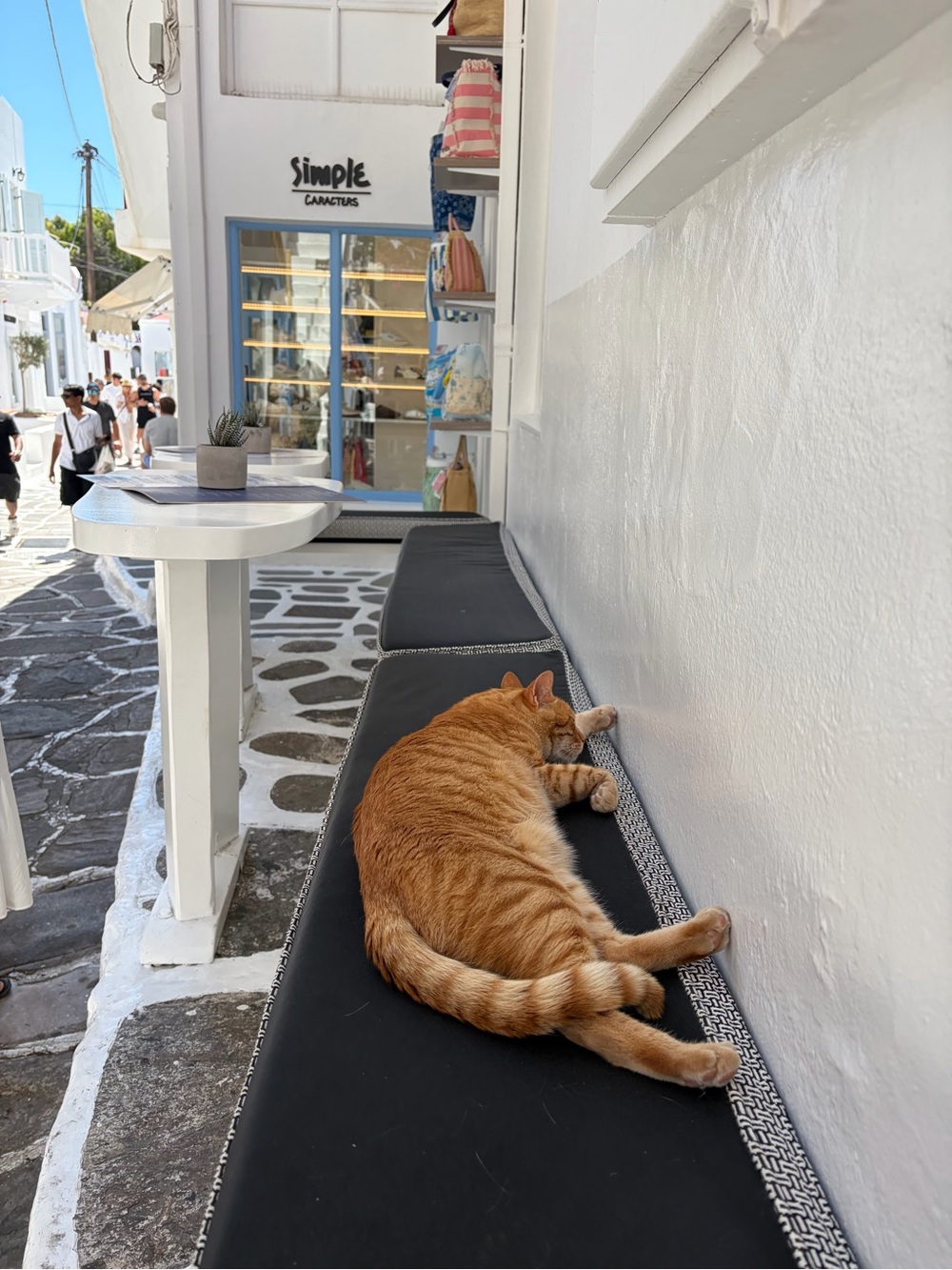Geece 🇬🇷 - Picture 8 of 11